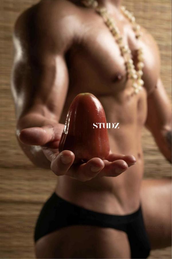 STUDZ-01--Zesty--Ebook--Video-